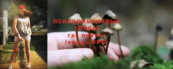 мет Арсеньев