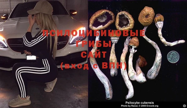 мет Арсеньев