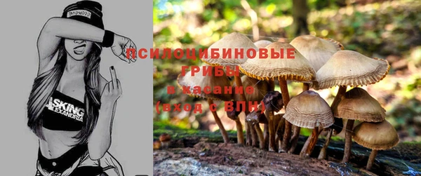 мет Арсеньев