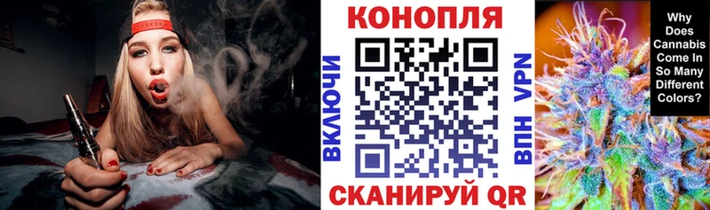 Конопля планчик  Купить где  Ленинградская 